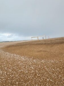 ❄️ NEVÓ EN VILLA GESELL
