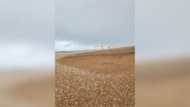 Nevó en Villa Gesell